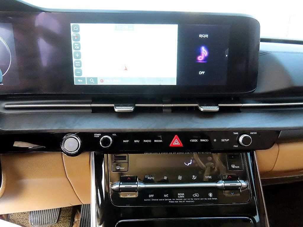 KIA Carnival - Vista 12