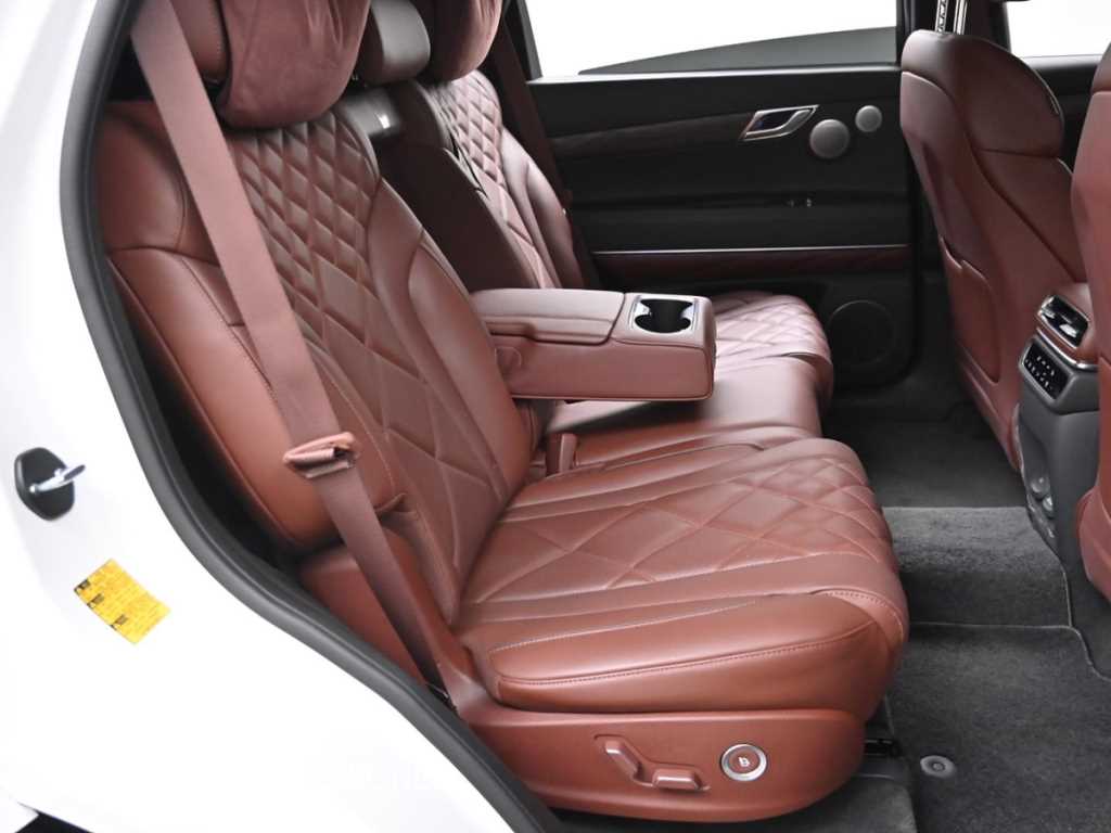 Genesis GV80 - Vista 12