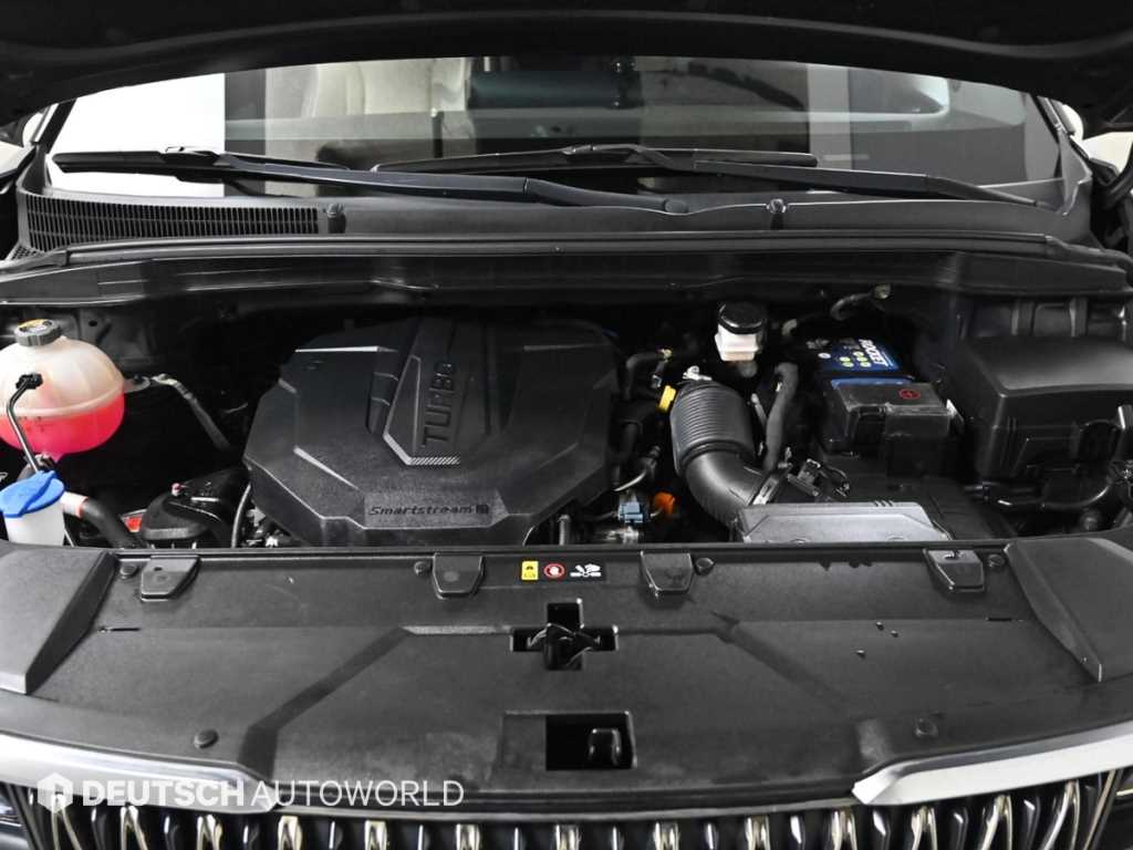 KIA Carnival - Vista 6