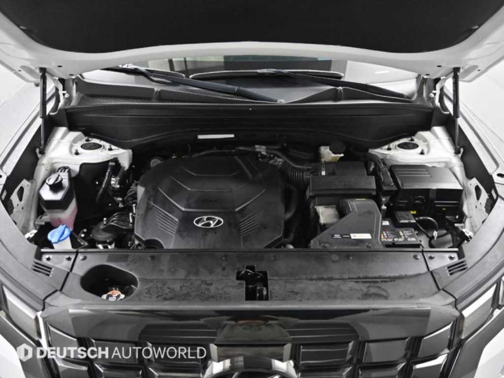 HYUNDAI Palisade - Vista 6