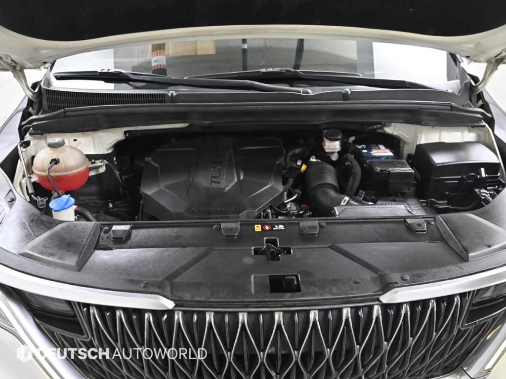 KIA Carnival - Vista 6