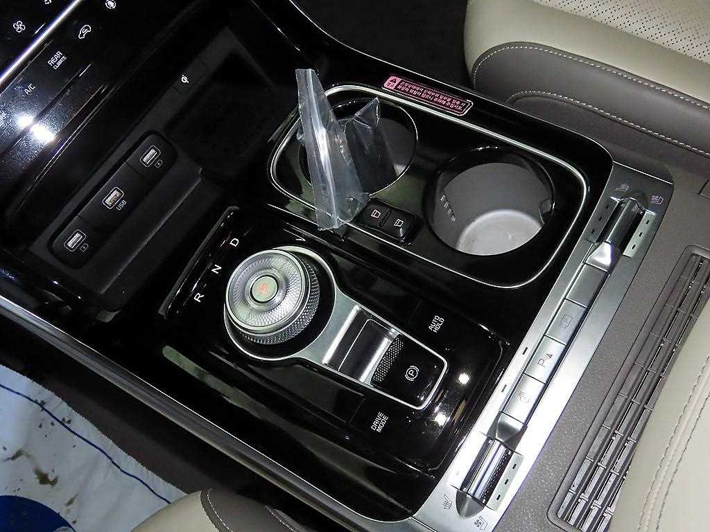 KIA Carnival - Vista 12