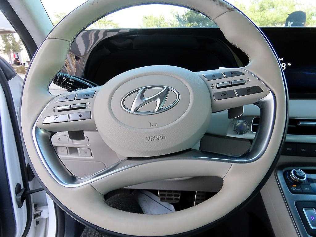 HYUNDAI Palisade - Vista 8