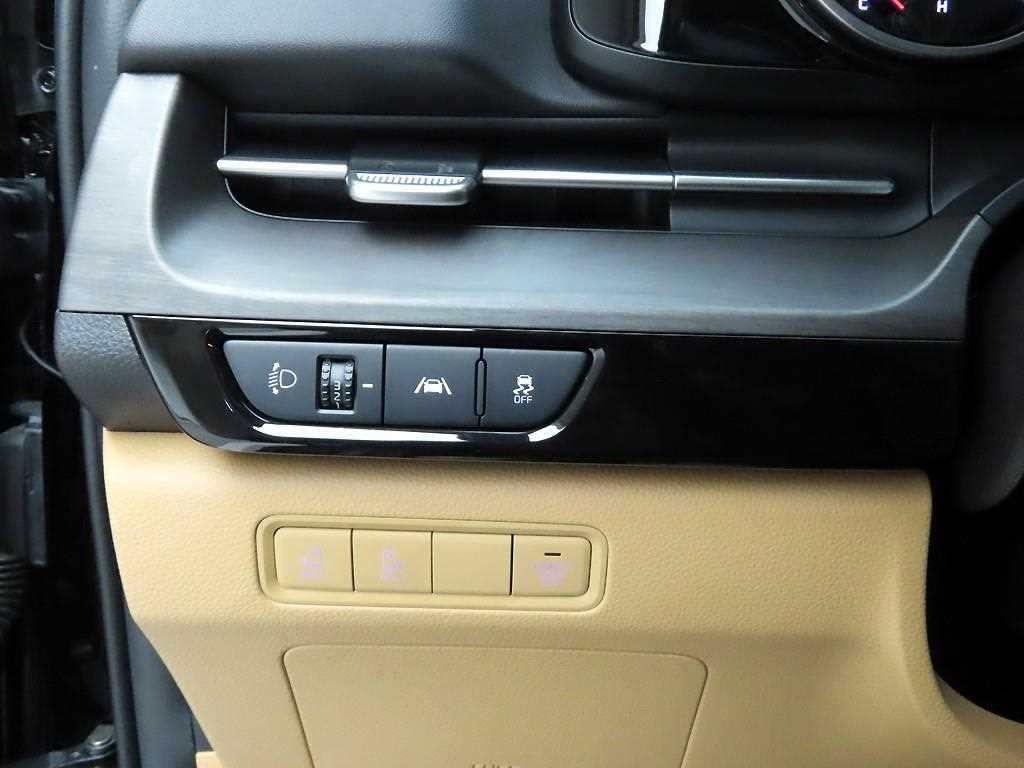KIA Carnival - Vista 12