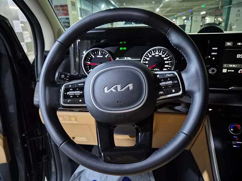 KIA Carnival - Vista 9