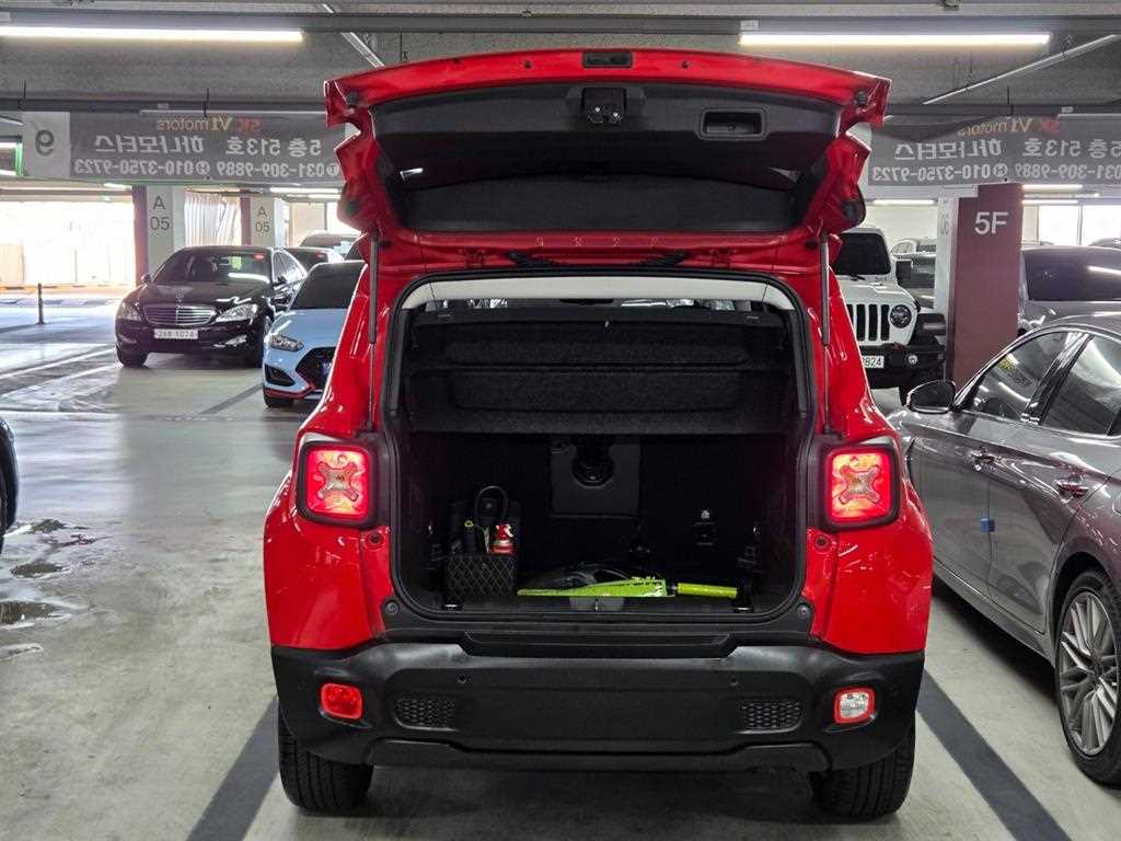 Jeep Renegade - Vista 7