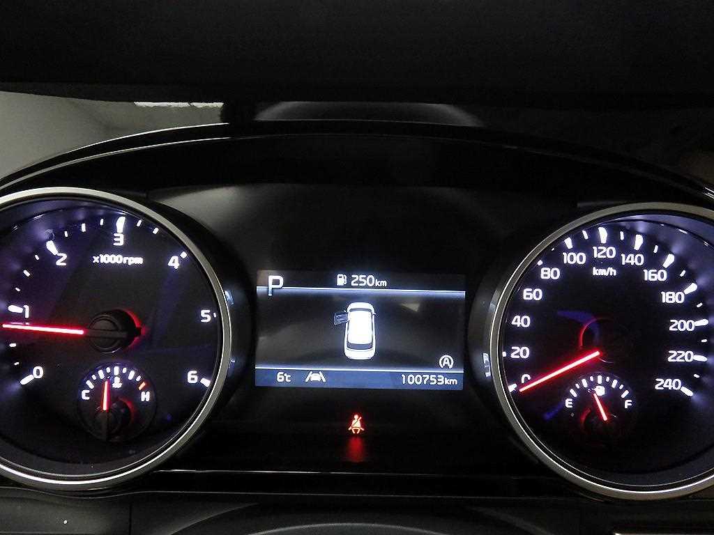 KIA Carnival - Vista 12