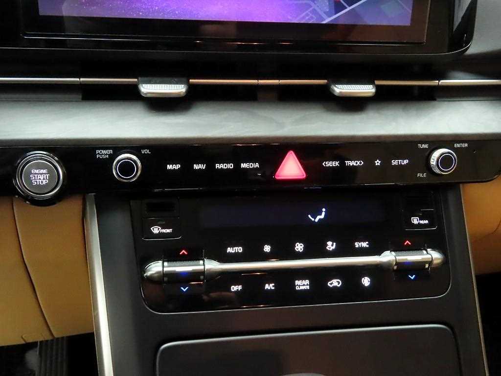 KIA Carnival - Vista 9