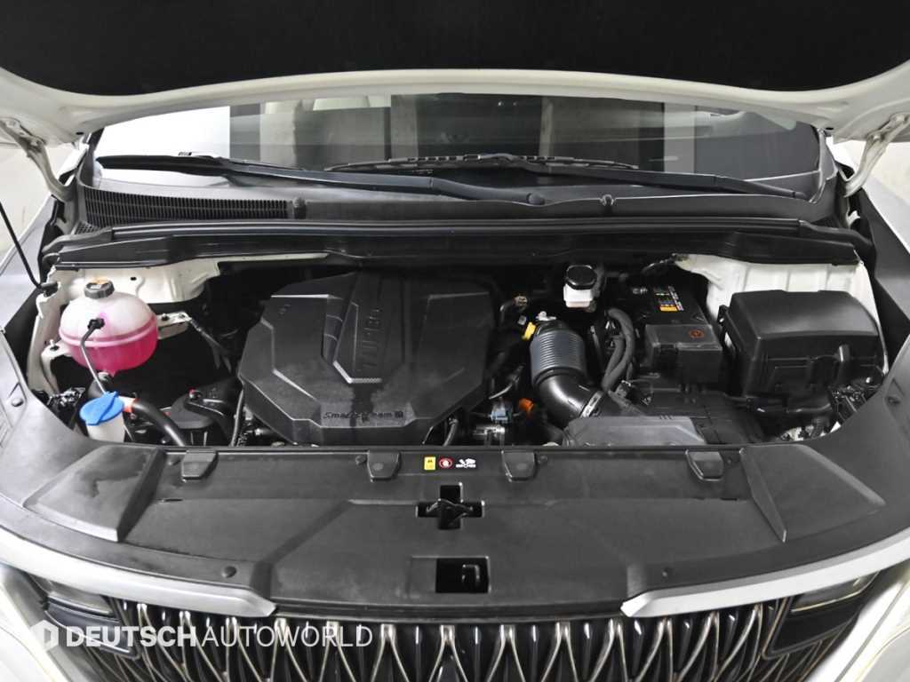 KIA Carnival - Vista 6