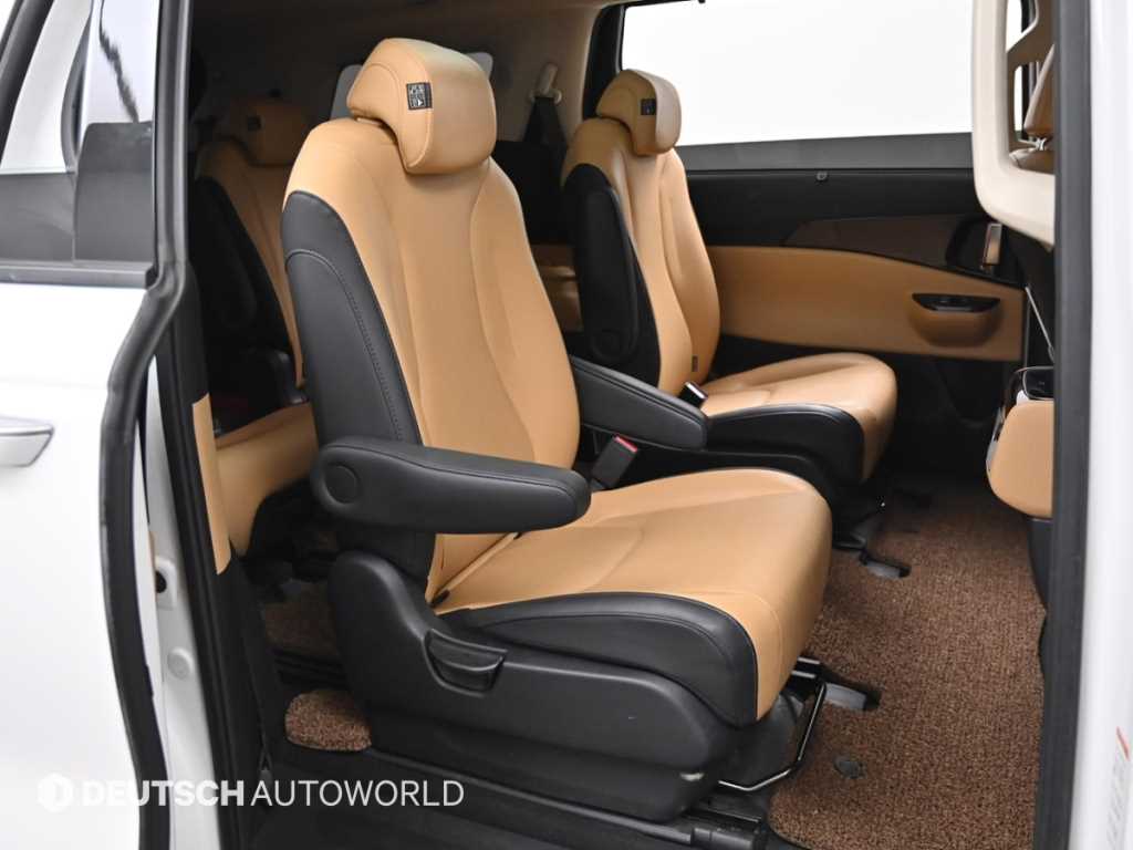 KIA Carnival - Vista 12