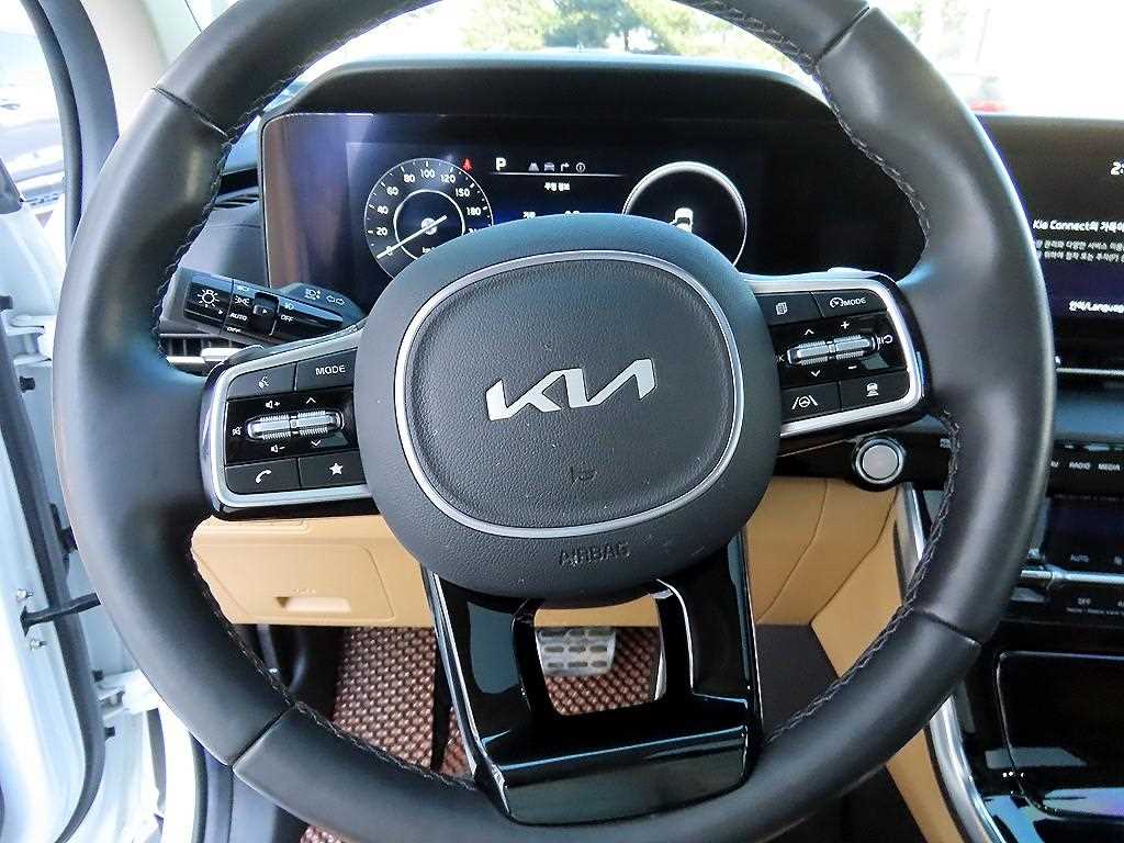 KIA Carnival - Vista 8