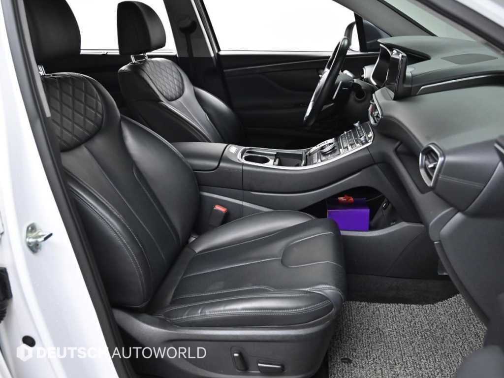 HYUNDAI Santa Fe - Vista 10