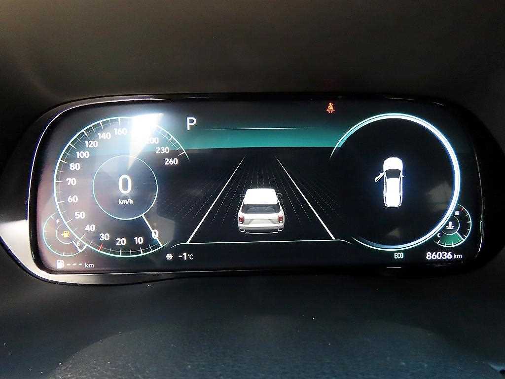 HYUNDAI Palisade - Vista 9