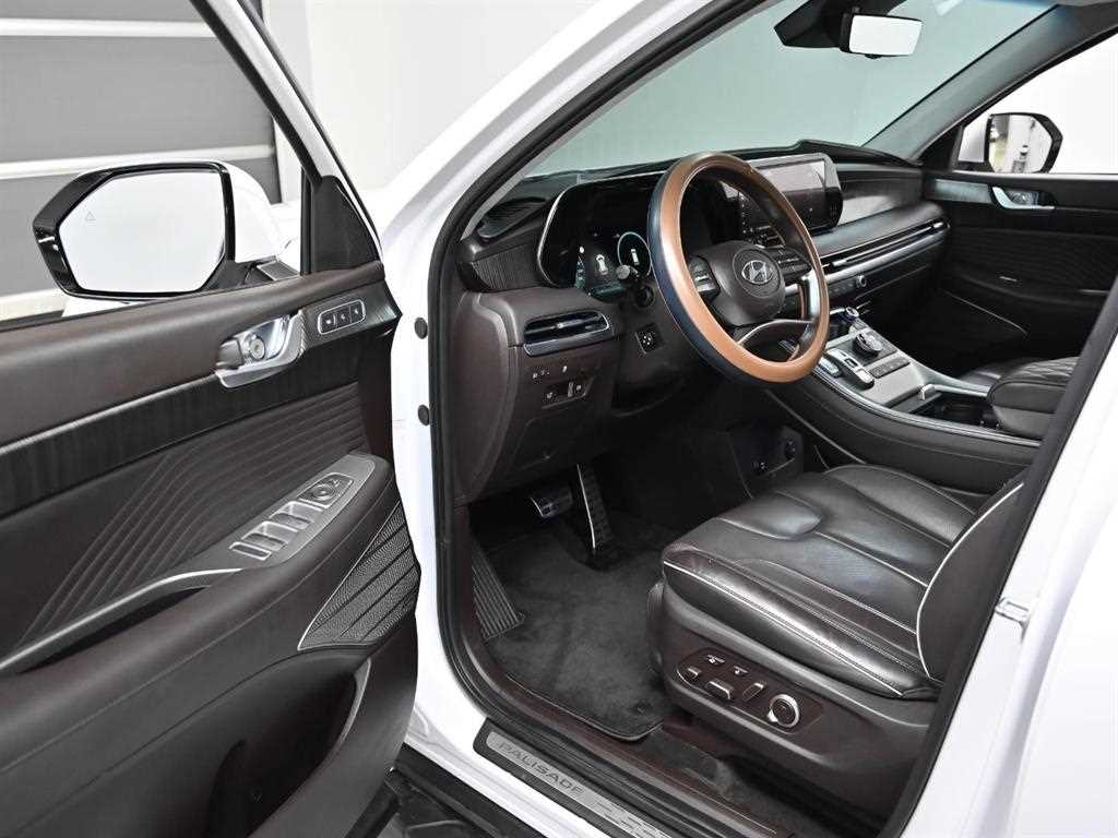 HYUNDAI Palisade - Vista 11
