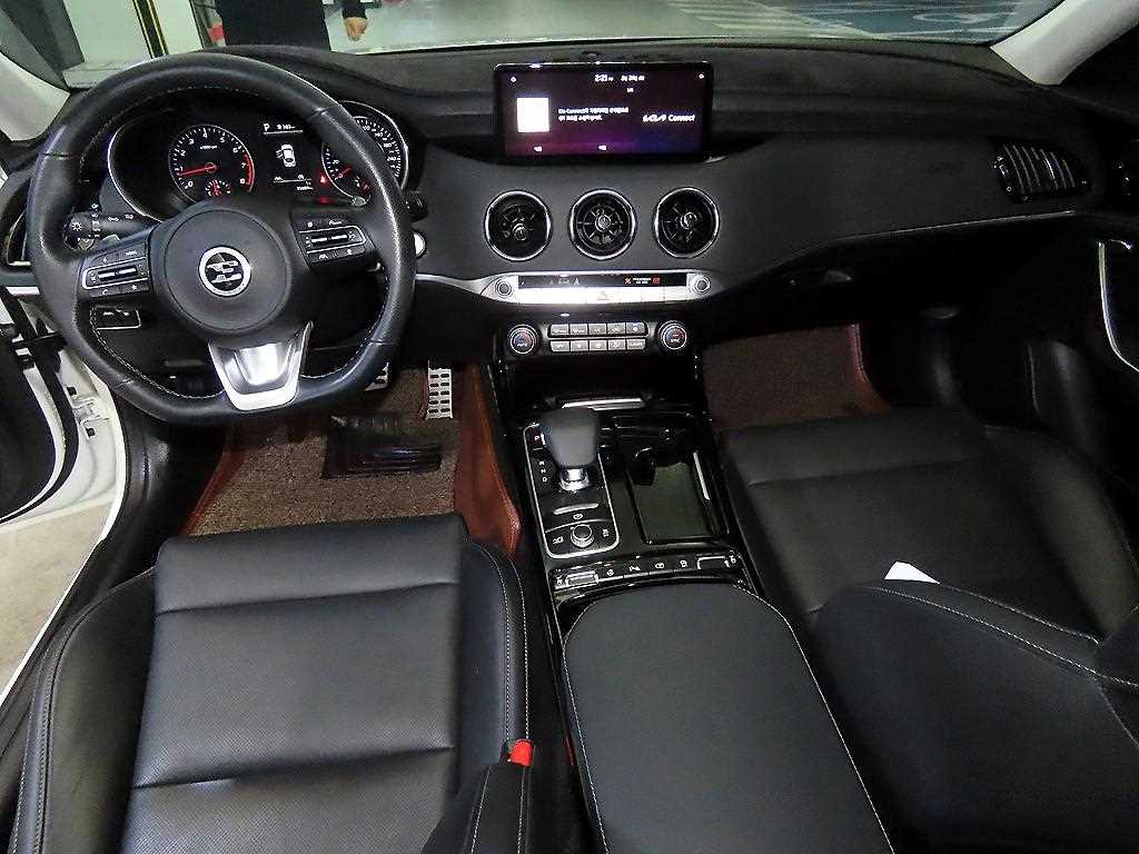 KIA Stinger - Vista 10