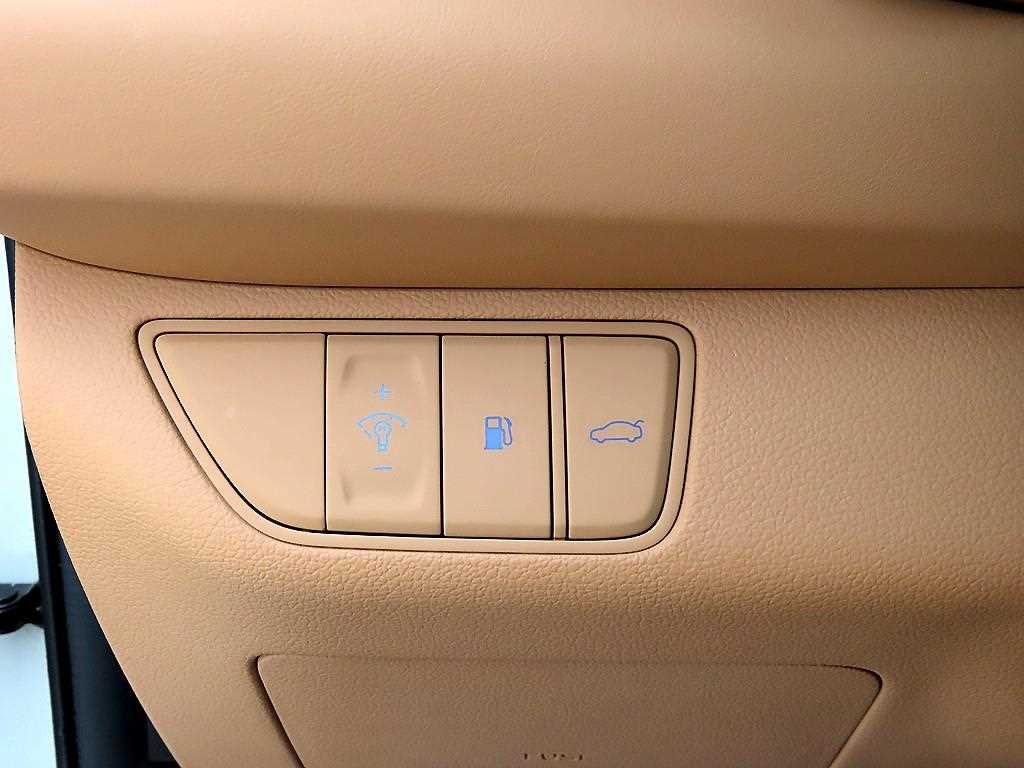 Genesis G70 - Vista 12