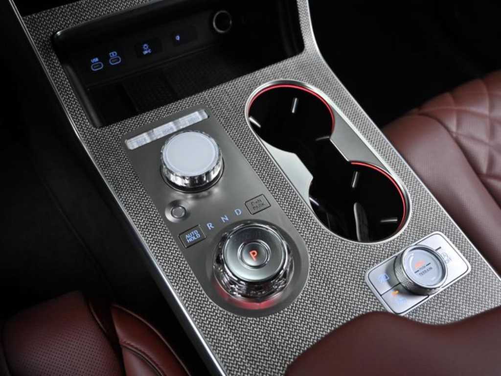 Genesis GV80 - Vista 9