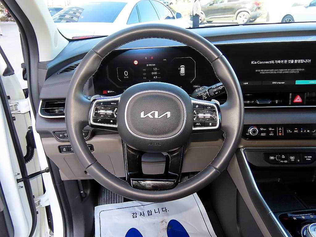 KIA Carnival - Vista 8