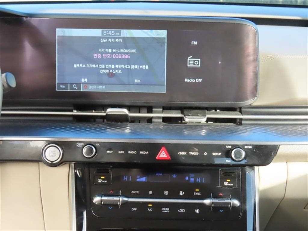 KIA Carnival - Vista 12