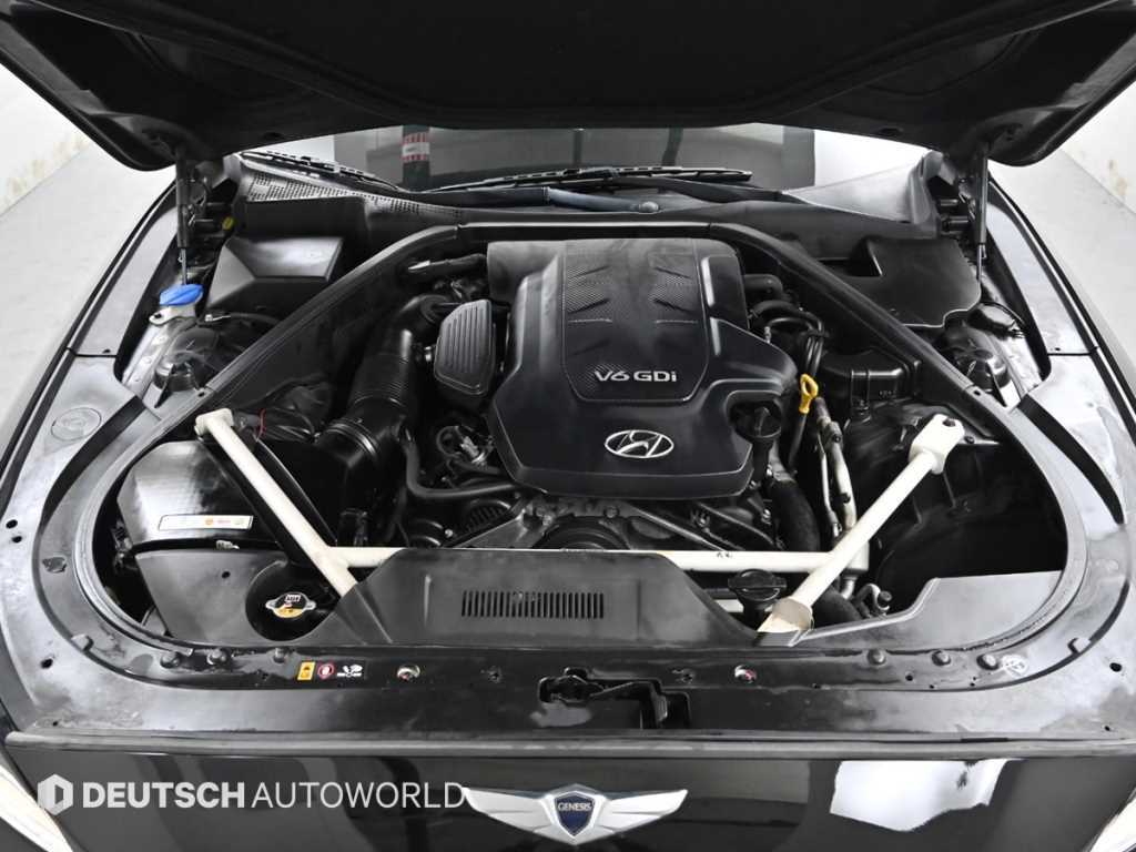 HYUNDAI Genesis - Vista 6