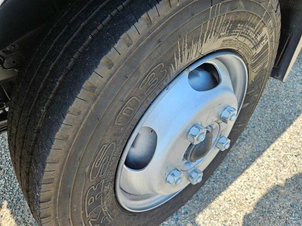 medium and large cargo Rory - Vista 10