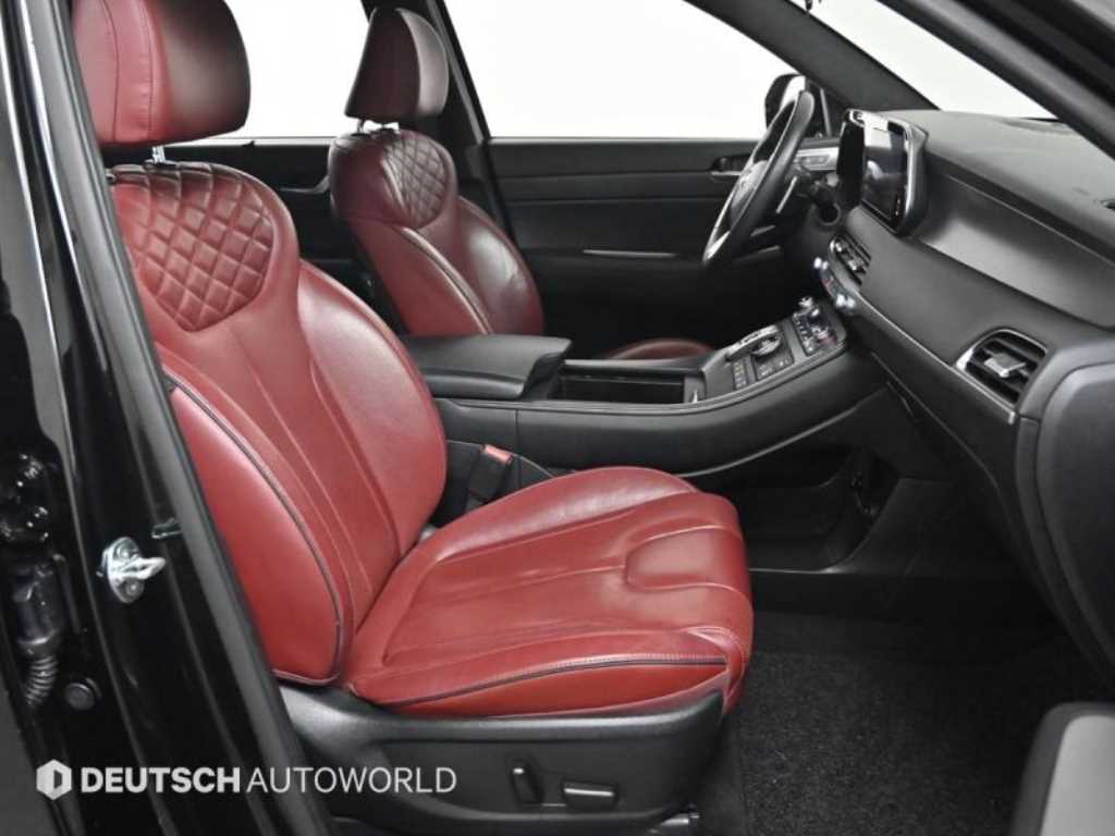 HYUNDAI Palisade - Vista 10