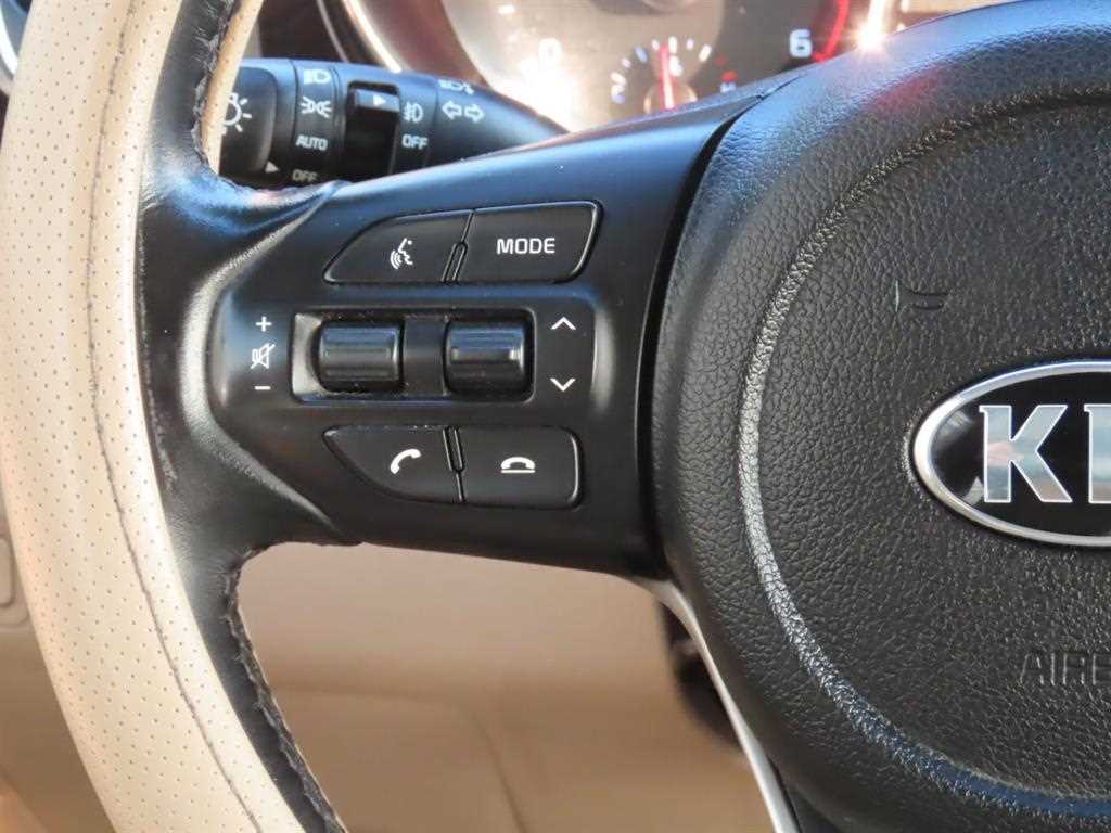KIA Carnival - Vista 11