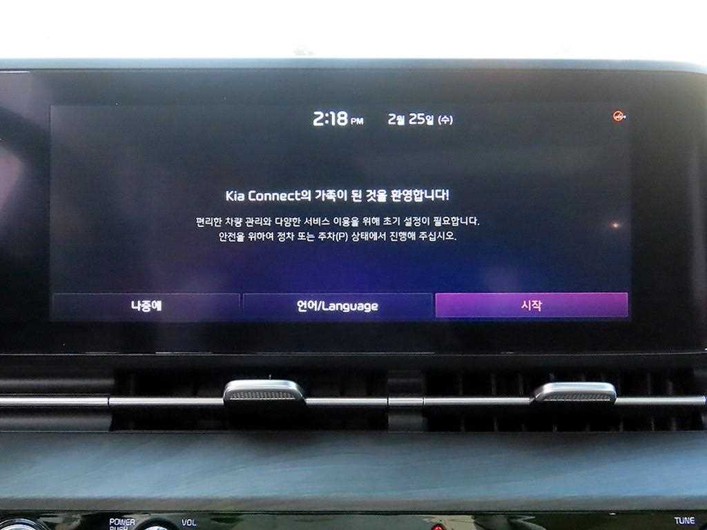 KIA Carnival - Vista 12