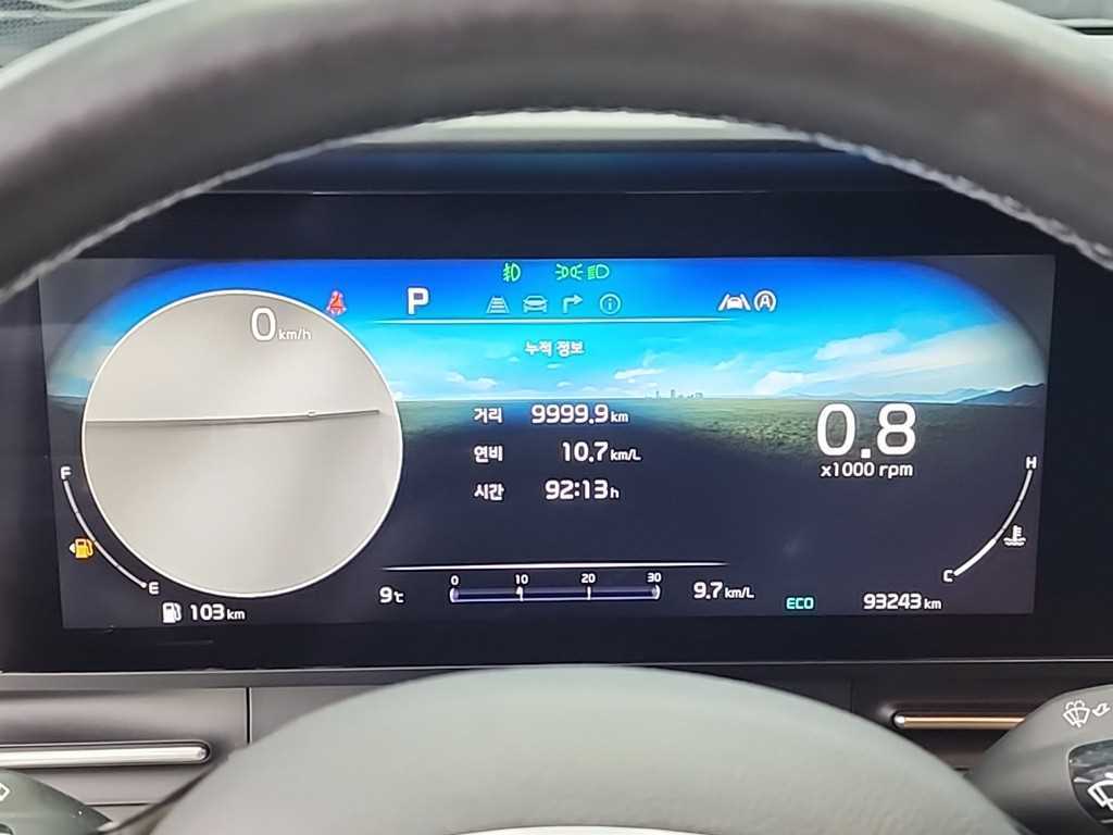 KIA Carnival - Vista 6