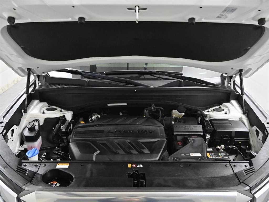 HYUNDAI Palisade - Vista 6