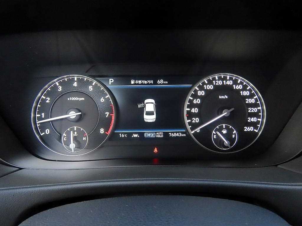 Genesis G90 - Vista 9