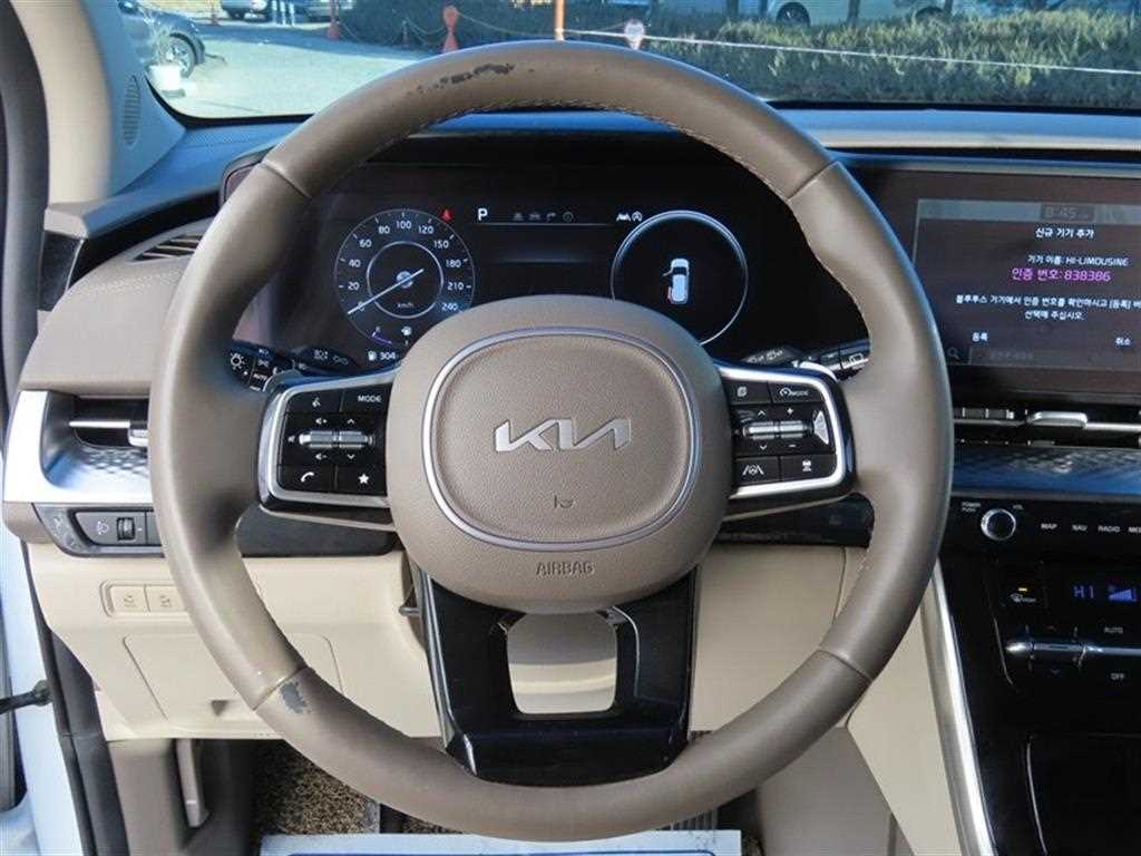 KIA Carnival - Vista 11