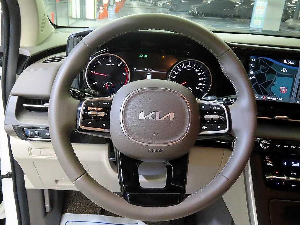 KIA Carnival - Vista 8