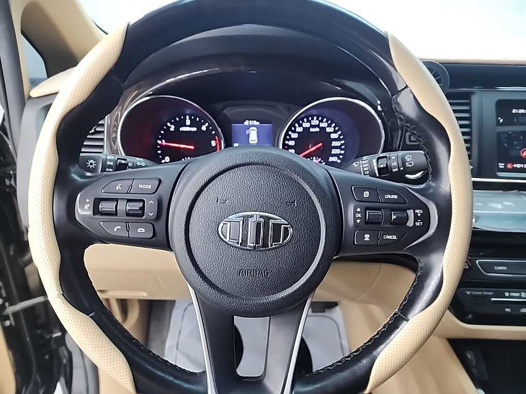 KIA Carnival - Vista 9