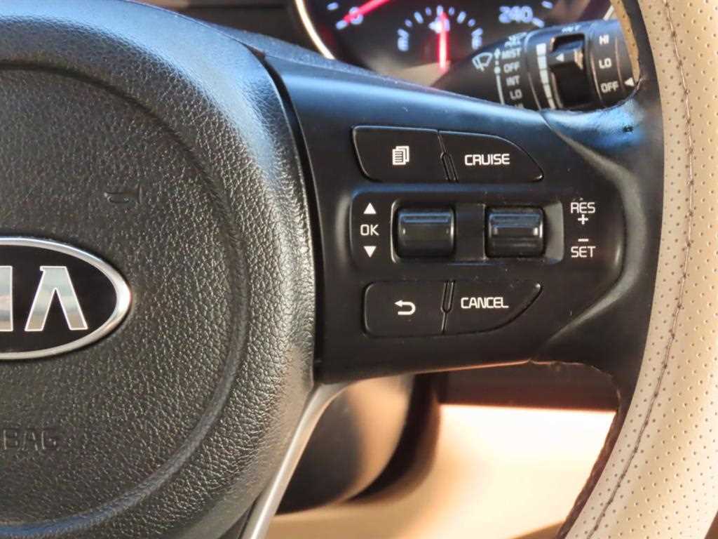 KIA Carnival - Vista 12