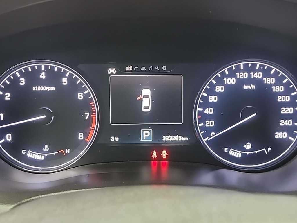 HYUNDAI Genesis - Vista 6