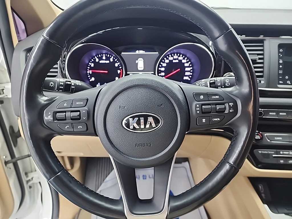 KIA Carnival - Vista 9
