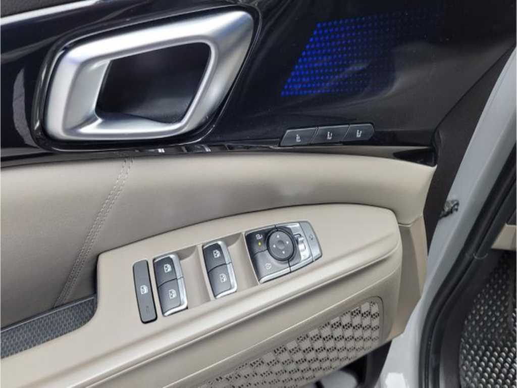 KIA Carnival - Vista 7