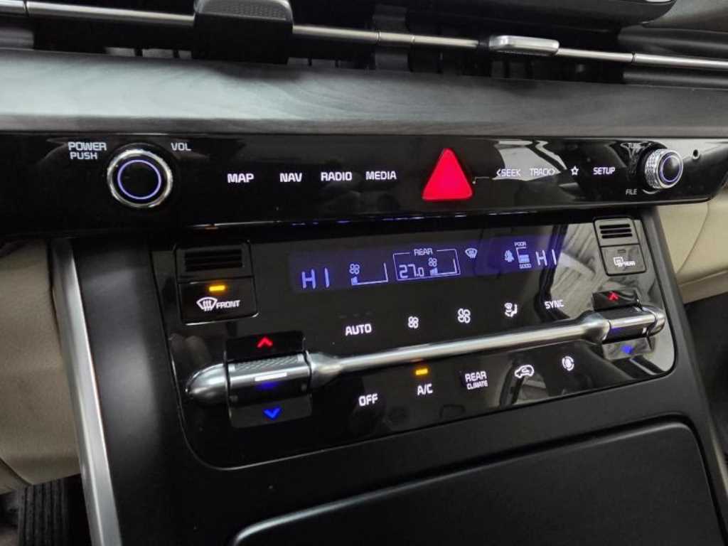 KIA Carnival - Vista 12