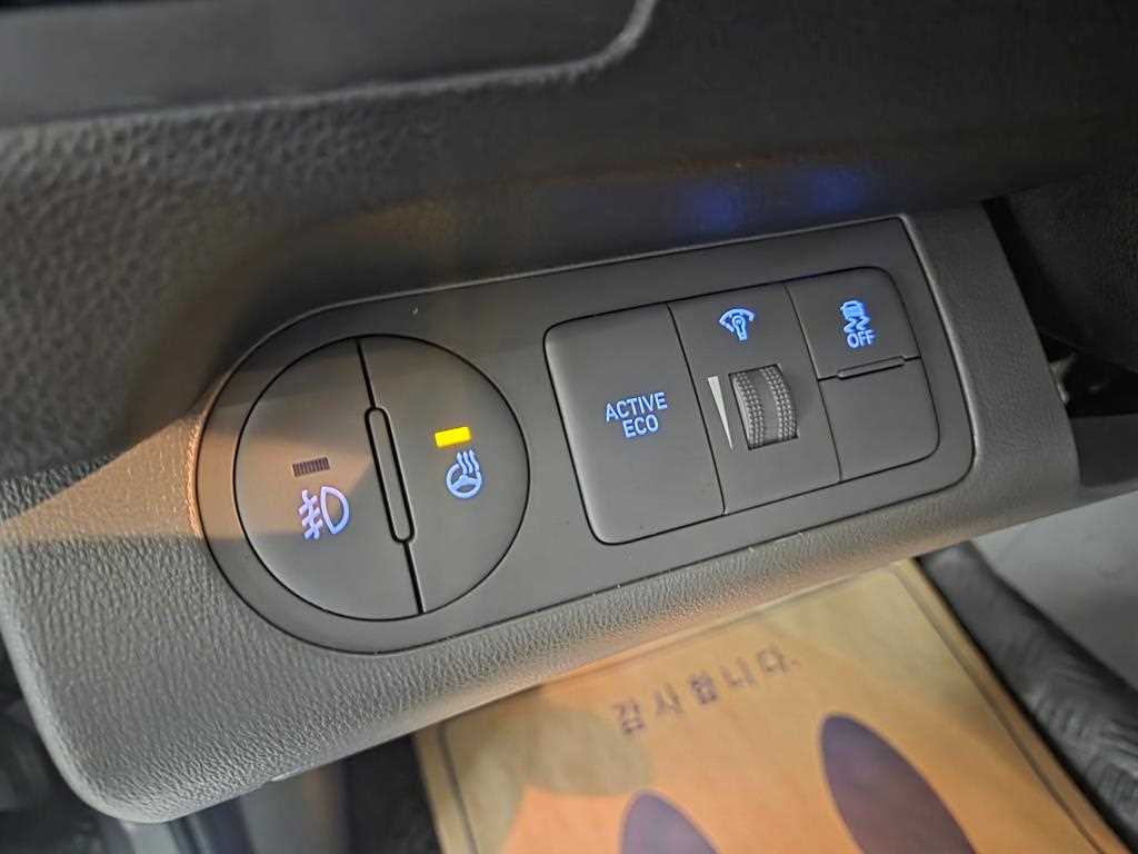 HYUNDAI Starex - Vista 11