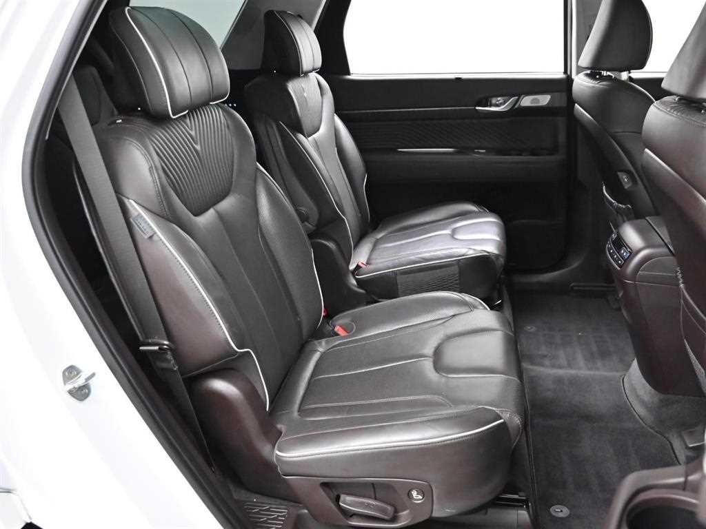 HYUNDAI Palisade - Vista 12