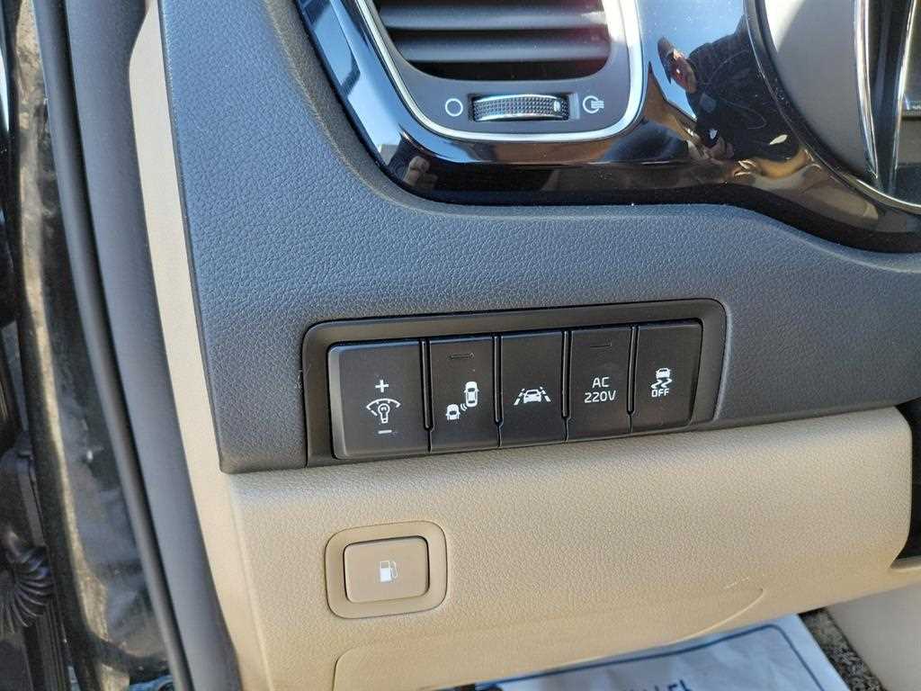 KIA Carnival - Vista 12