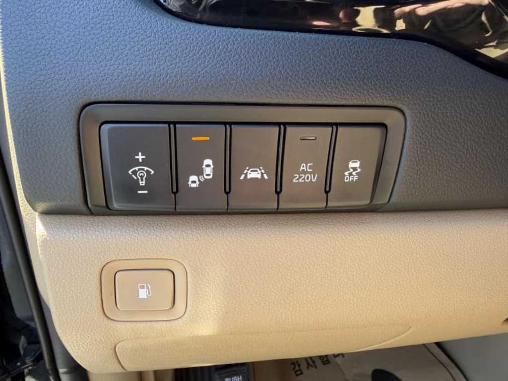 KIA Carnival - Vista 11