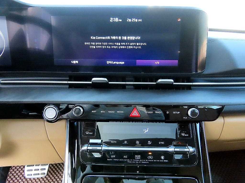 KIA Carnival - Vista 11