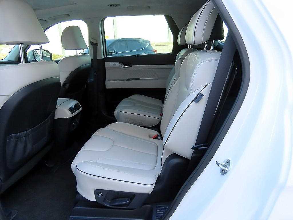 HYUNDAI Palisade - Vista 6