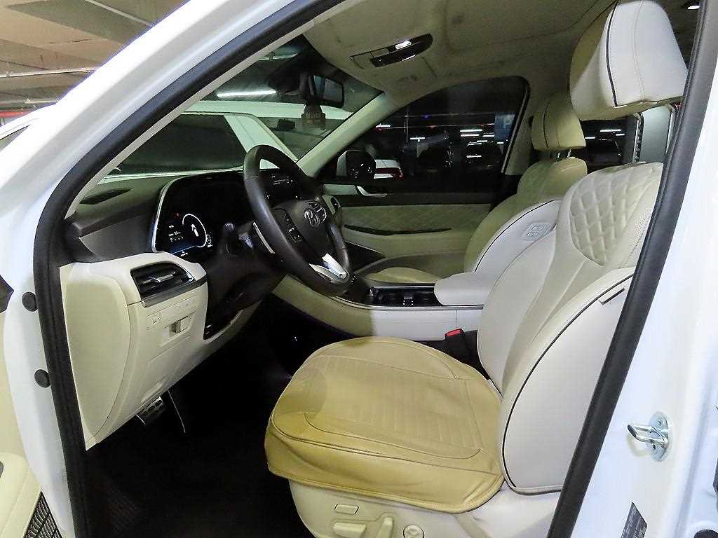 HYUNDAI Palisade - Vista 6