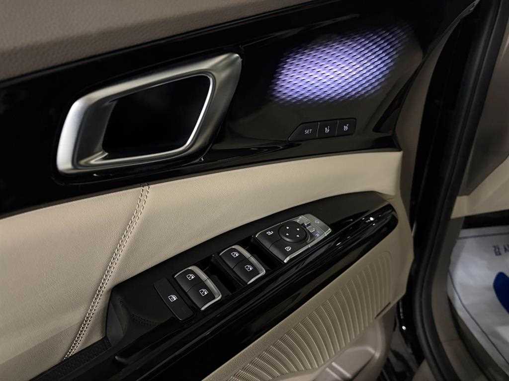 KIA Carnival - Vista 8