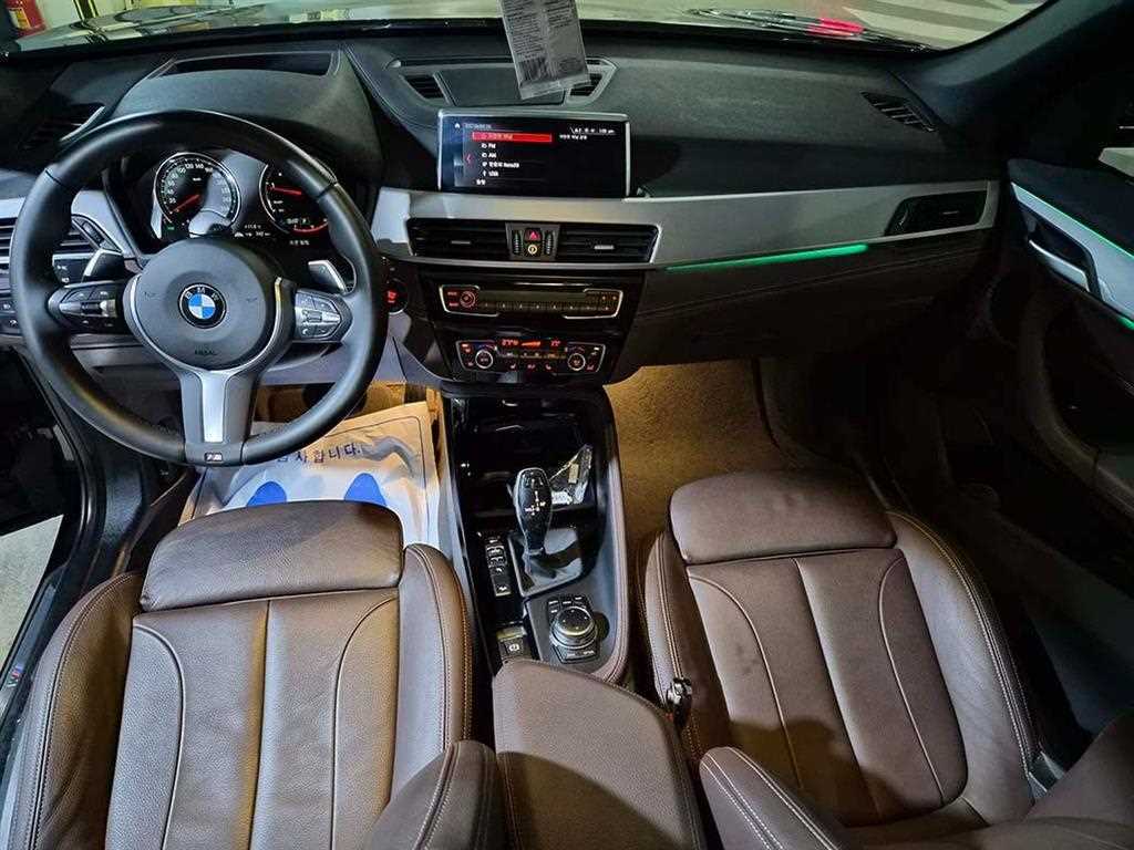 BMW X1 - Vista 10