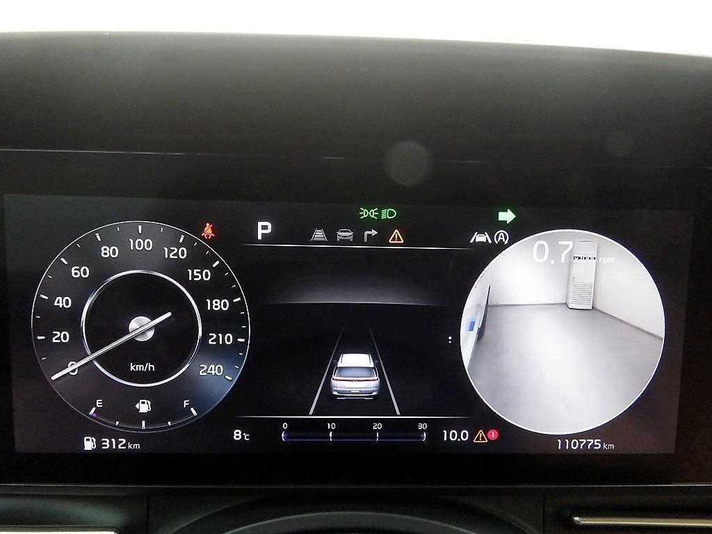 KIA Carnival - Vista 12