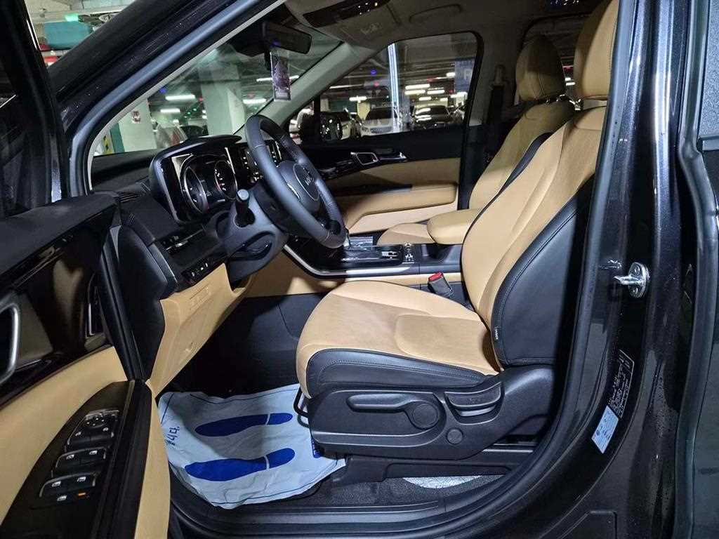 KIA Carnival - Vista 6